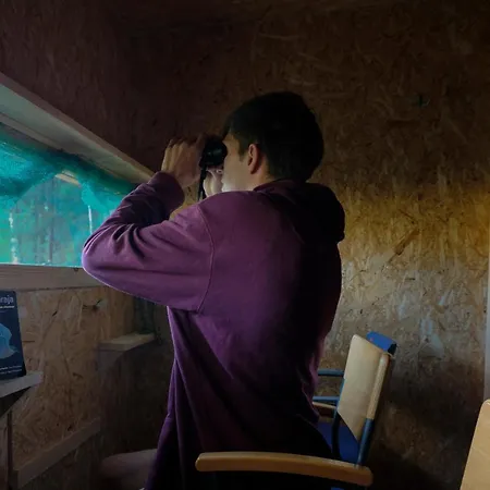 Bear Watching Hide Of Alutaguse * Palasi