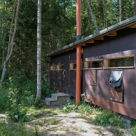 Bear Watching Hide Of Alutaguse