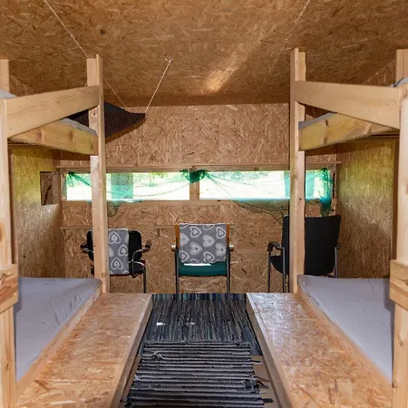 Bear Watching Hide Of Alutaguse *