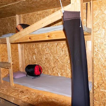 Bear Watching Hide Of Alutaguse 캠프장 Palasi