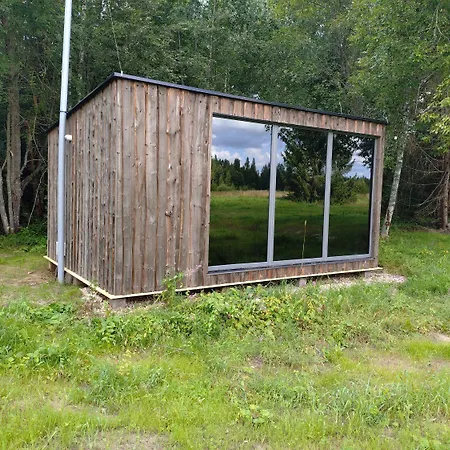 Bear Watching Hide Of Alutaguse * Palasi
