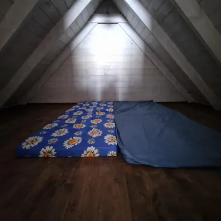 Bear Watching Hide Of Alutaguse Palasi