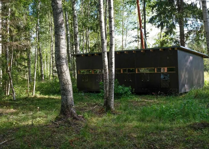 Bear Watching Hide Of Alutaguse Kemping