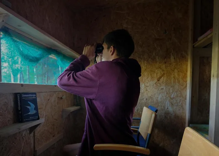 Bear Watching Hide Of Alutaguse * Palasi