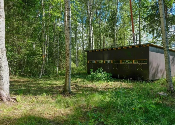 Bear Watching Hide Of Alutaguse Kemping Palasi