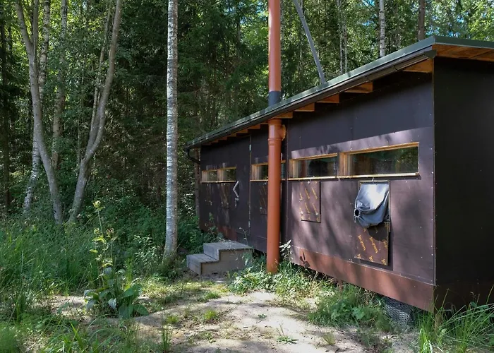 Bear Watching Hide Of Alutaguse