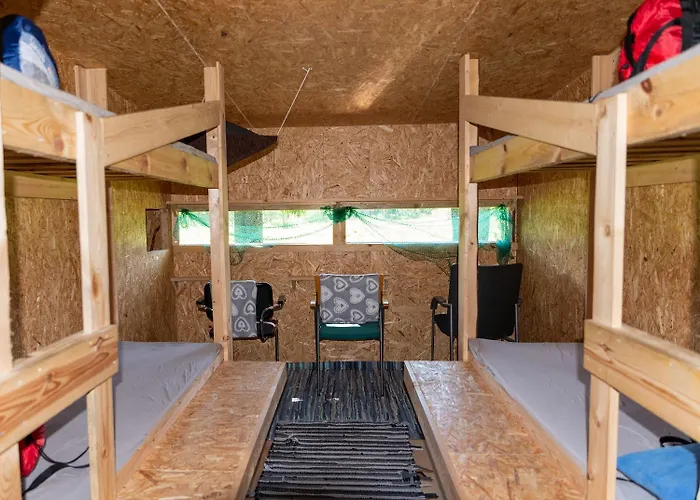 Bear Watching Hide Of Alutaguse *