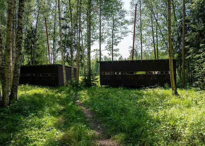Bear Watching Hide Of Alutaguse Kemping