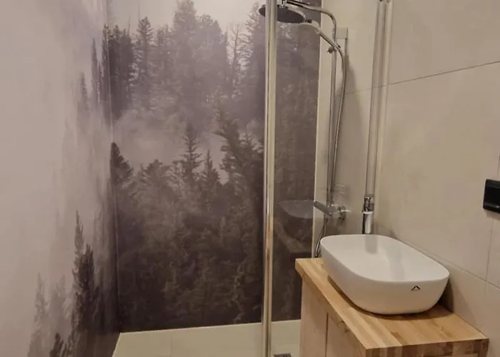 Bear Watching Hide Of Alutaguse Kemping