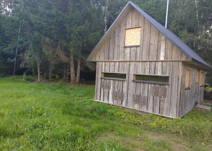 Kemping Bear Watching Hide Of Alutaguse