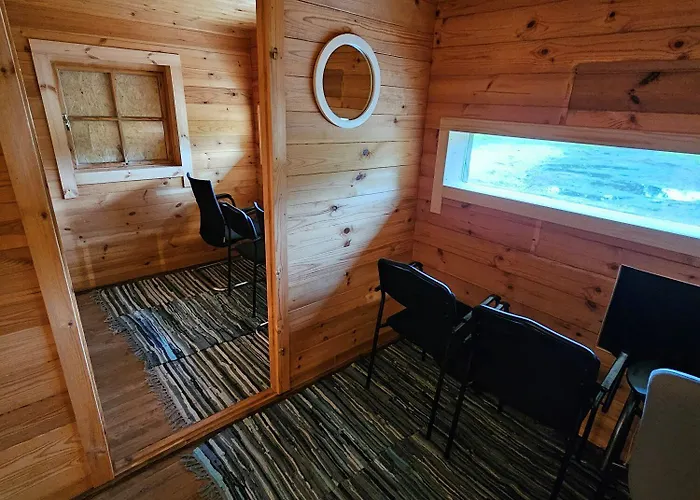 Bear Watching Hide Of Alutaguse Kemping *