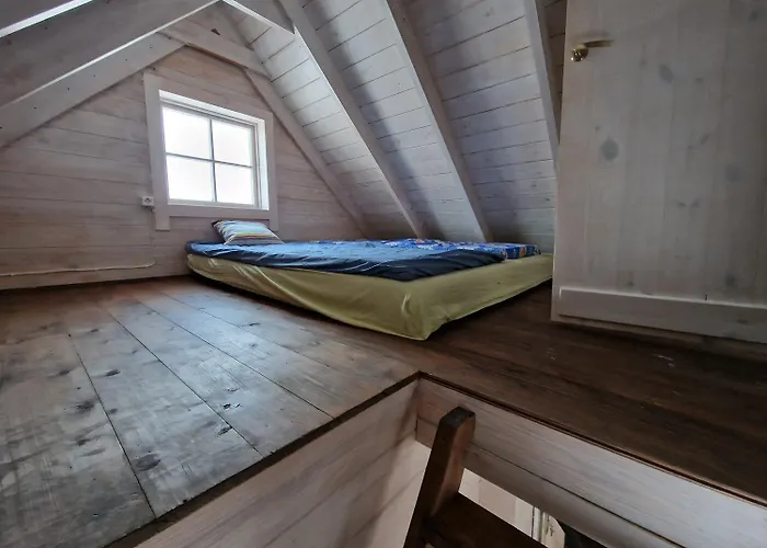 Kemping Bear Watching Hide Of Alutaguse *