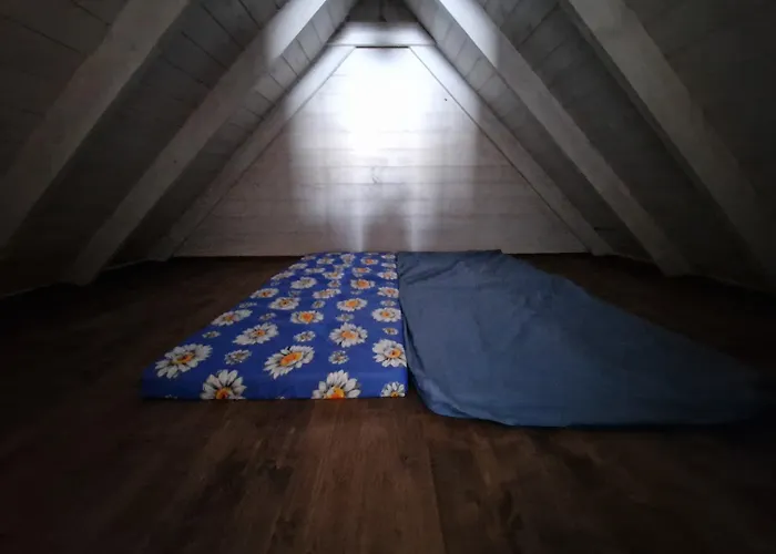 Bear Watching Hide Of Alutaguse Palasi