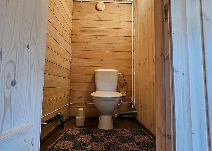 Bear Watching Hide Of Alutaguse