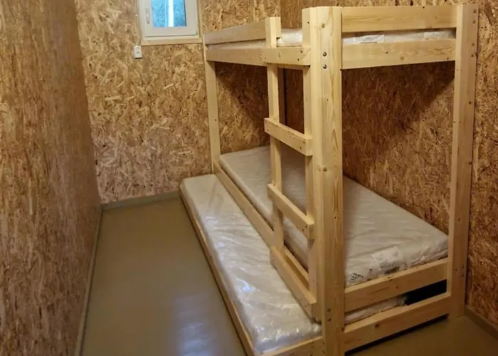 Bear Watching Hide Of Alutaguse Kemping