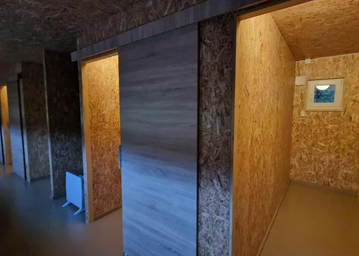 Kemping Bear Watching Hide Of Alutaguse