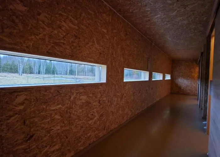 Bear Watching Hide Of Alutaguse Kemping *