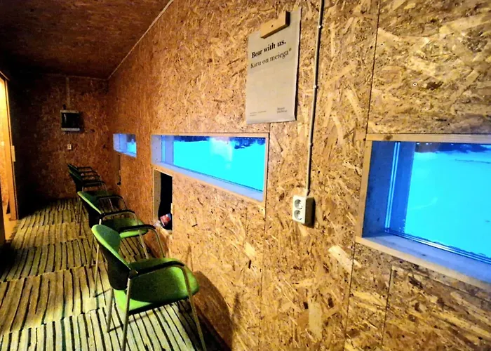 Kemping Bear Watching Hide Of Alutaguse *